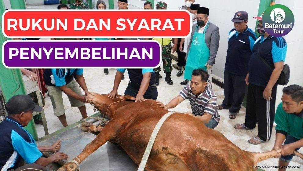 4 Rukun dan 5 Syarat Penyembelihan Sesuai Syariat Islam, Jangan Kelewatan!!!